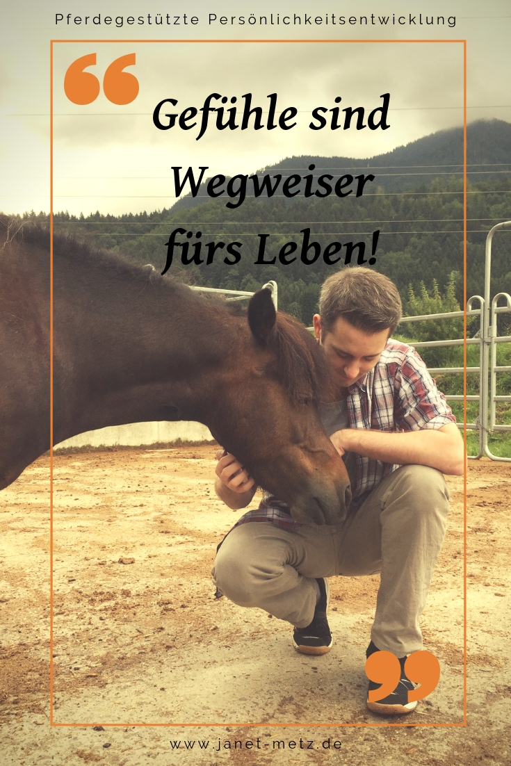 Gefühle verstehen und Lebensqualität steigern